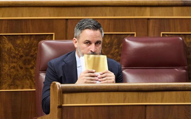 El presidente de Vox, Santiago Abascal, en el Congreso de los Diputados.