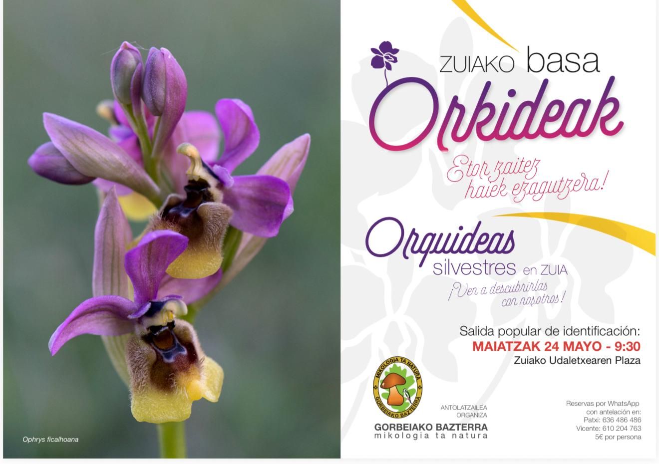 Cartel de la salida para conocer las orquídeas silvestres de Zuia