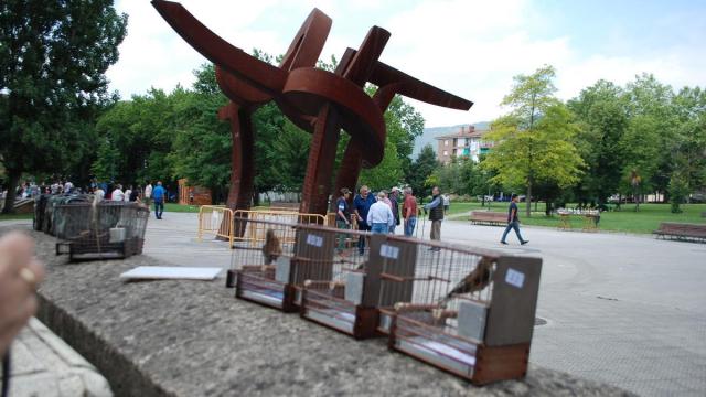 Concurso de pájaros cantores en el parque de Amurrio una pasada edición / Araceli Oiarzabal Concurso de pájaros cantores en el parque de Amurrio una pasada edición