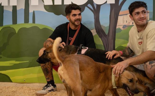 La segunda edición de 'Adopta a un pana' cuenta con 32 protectoras de distintas zonas del Estado.