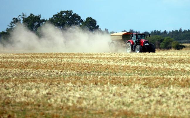 Un agricultor trabajando en el campo.