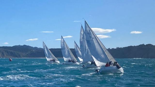 El viento, una vez más, protagonista del V Trofeo Náutica Digital. Foto. RCMA-RSC