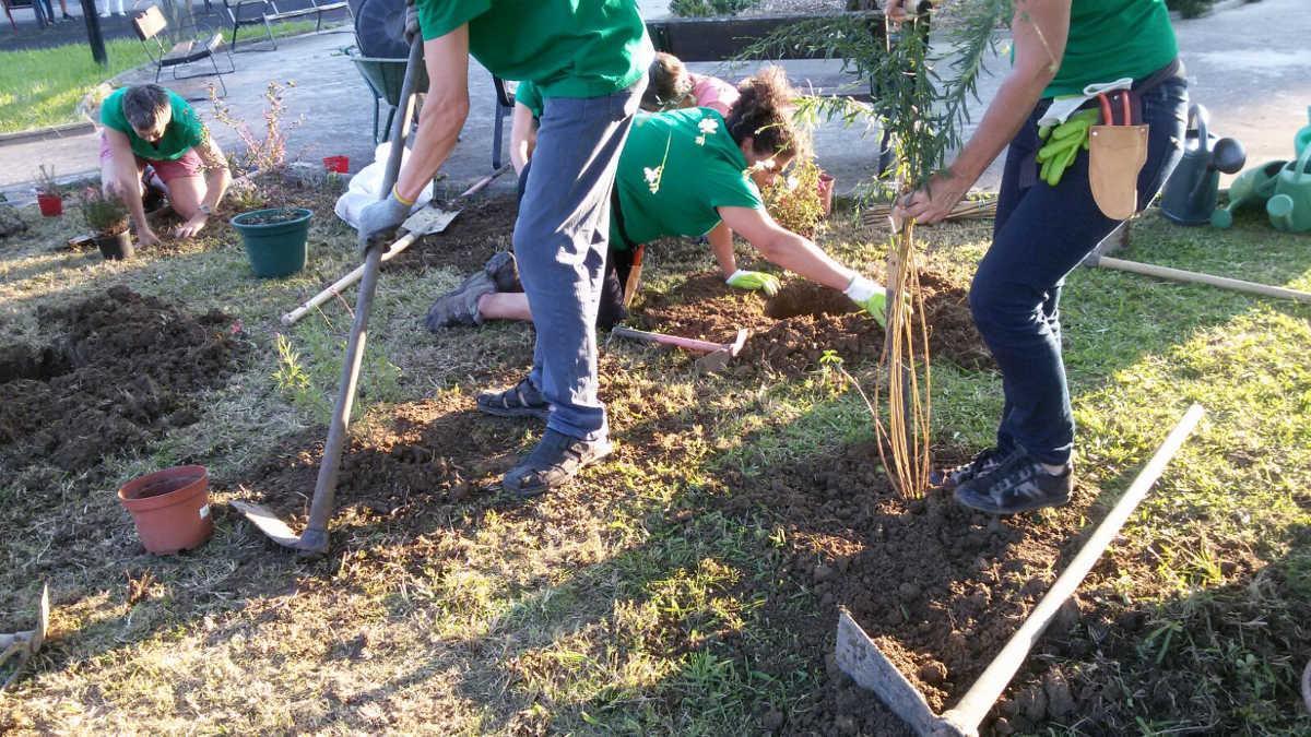 Los participantes compaginarán el ejercicio físico con el aprendizaje de técnicas de jardinería ecológica y el trabajo en equipo en jardines, zonas verdes y bosques del municipio