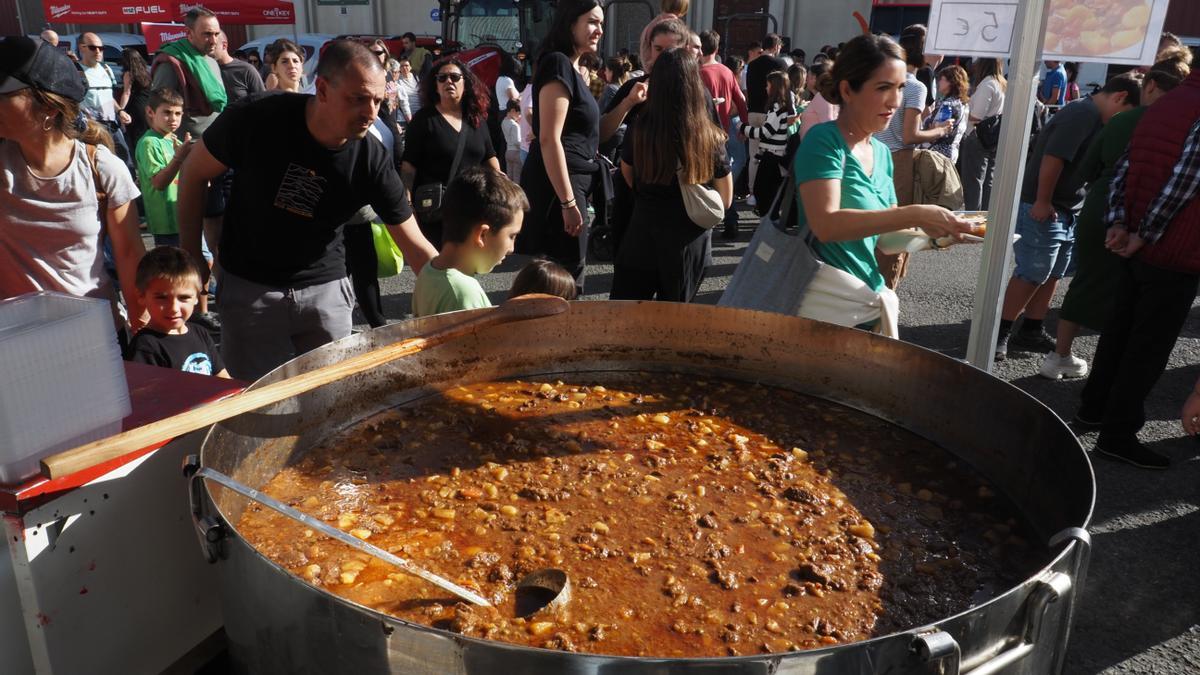 En la feria no faltarán los espacios para recuperar fuerzas durante el recorrido por los puestos de exposición y venta.
