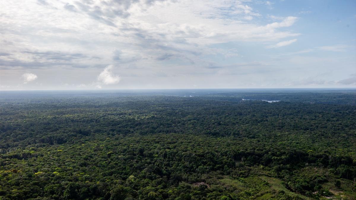 Fotografía aérea de la selva amazónica en la frontera entre Colombia y Brasil.