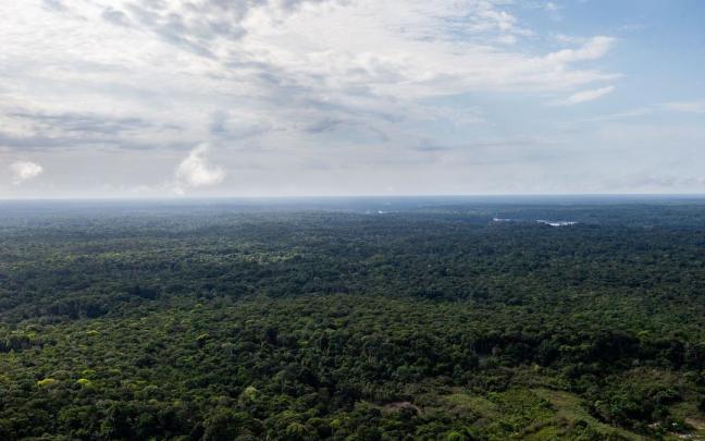 Fotografía aérea de la selva amazónica en la frontera entre Colombia y Brasil.
