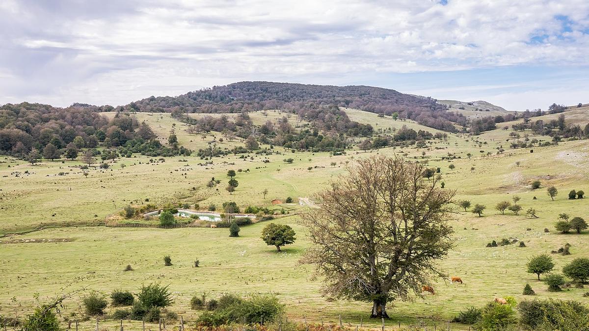 Pastos de montaña Rasos de Legaire en la Sierra de Entzia