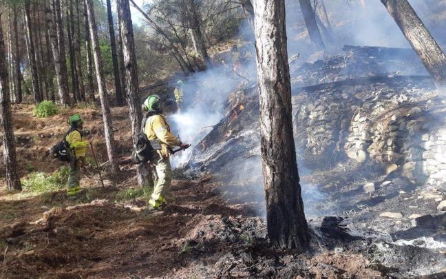 Bomberos del Infoca trabajando en el incendio de Alcaucín, ya controlado