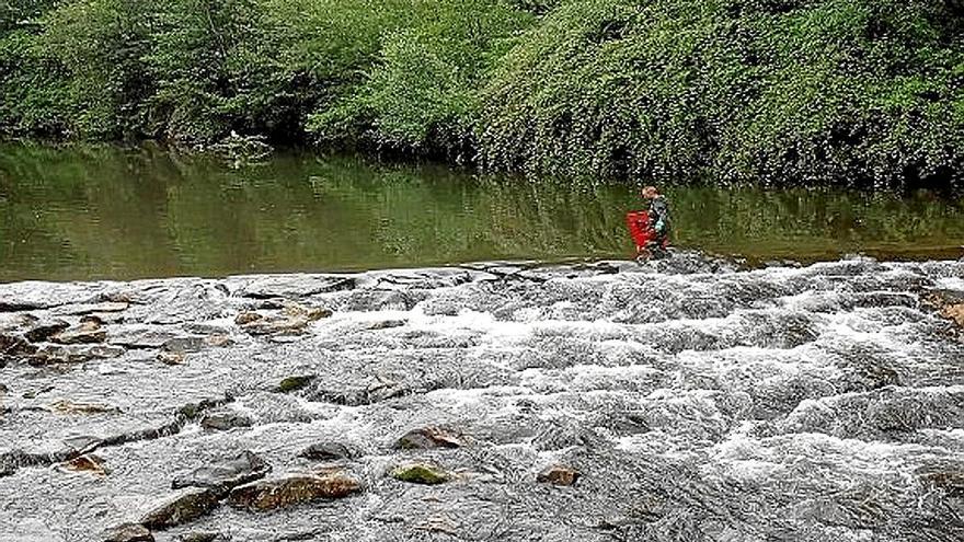 Un operario limpiando el río Oiartzun.