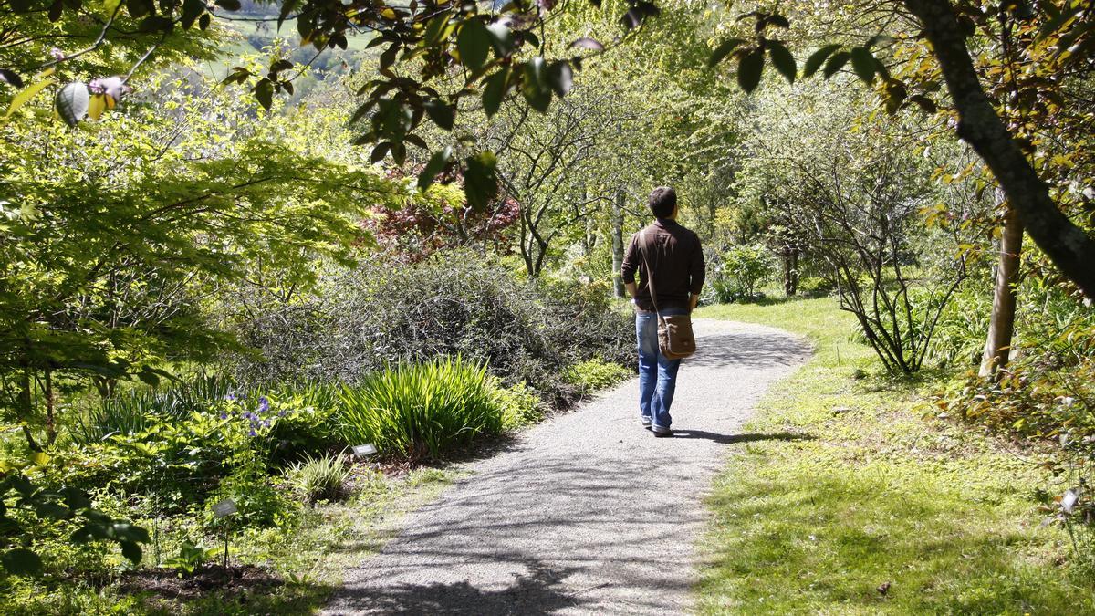 Jardin botanico de Iturraran, en Pagoeta.