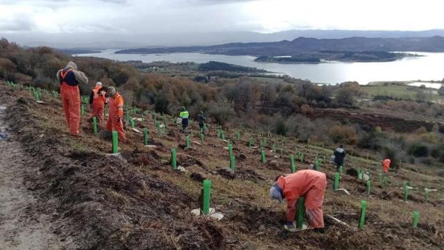 Itxitura perimetral bat jarri da.