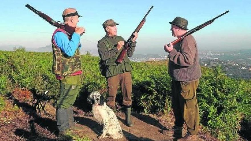 El PP pide "garantizar, favorecer y facilitar el relevo generacional" en la caza de animales..