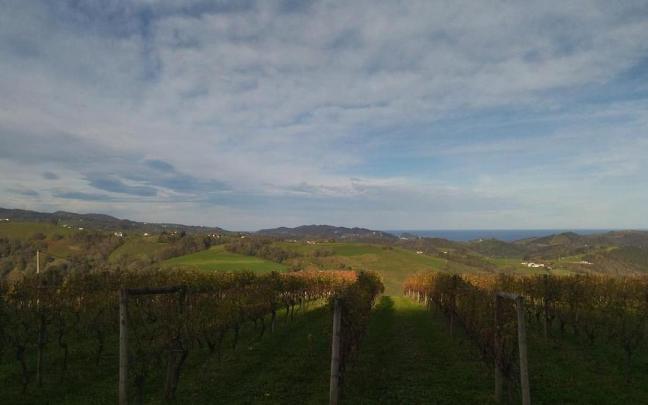 Así amanecen los viñedos de la bodega de Karlos Arguiñano en Aia
