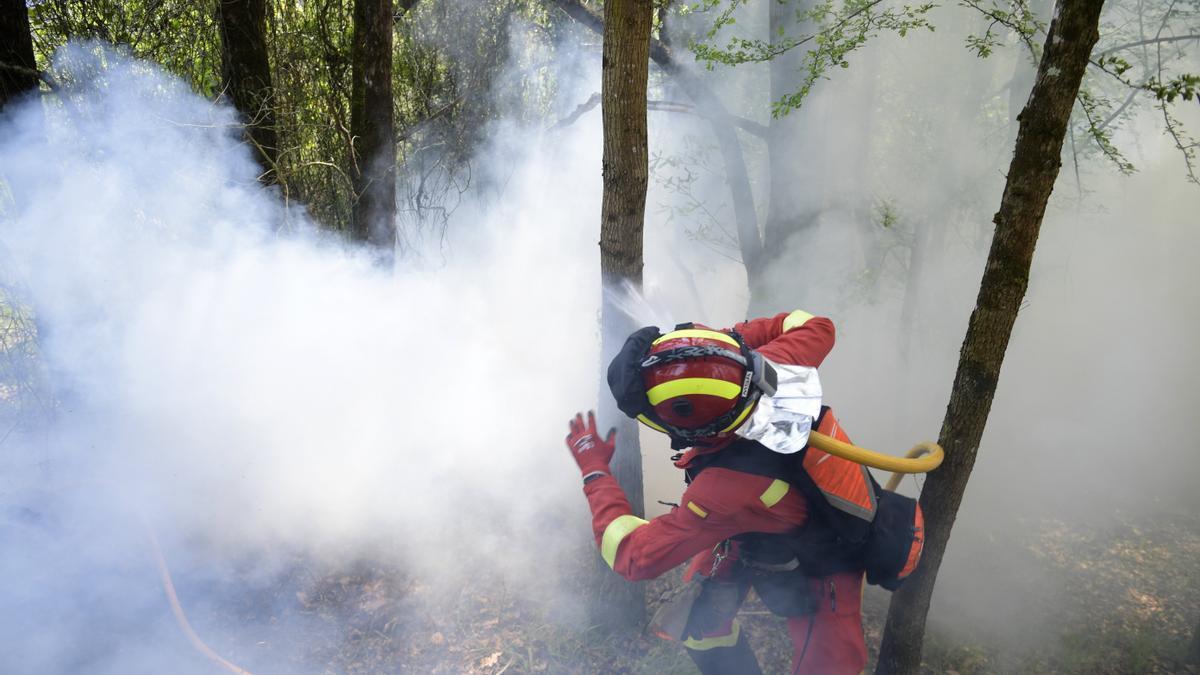 Un bombero lucha contra las llamas en Las Regueras, en las cercanías de Oviedo.