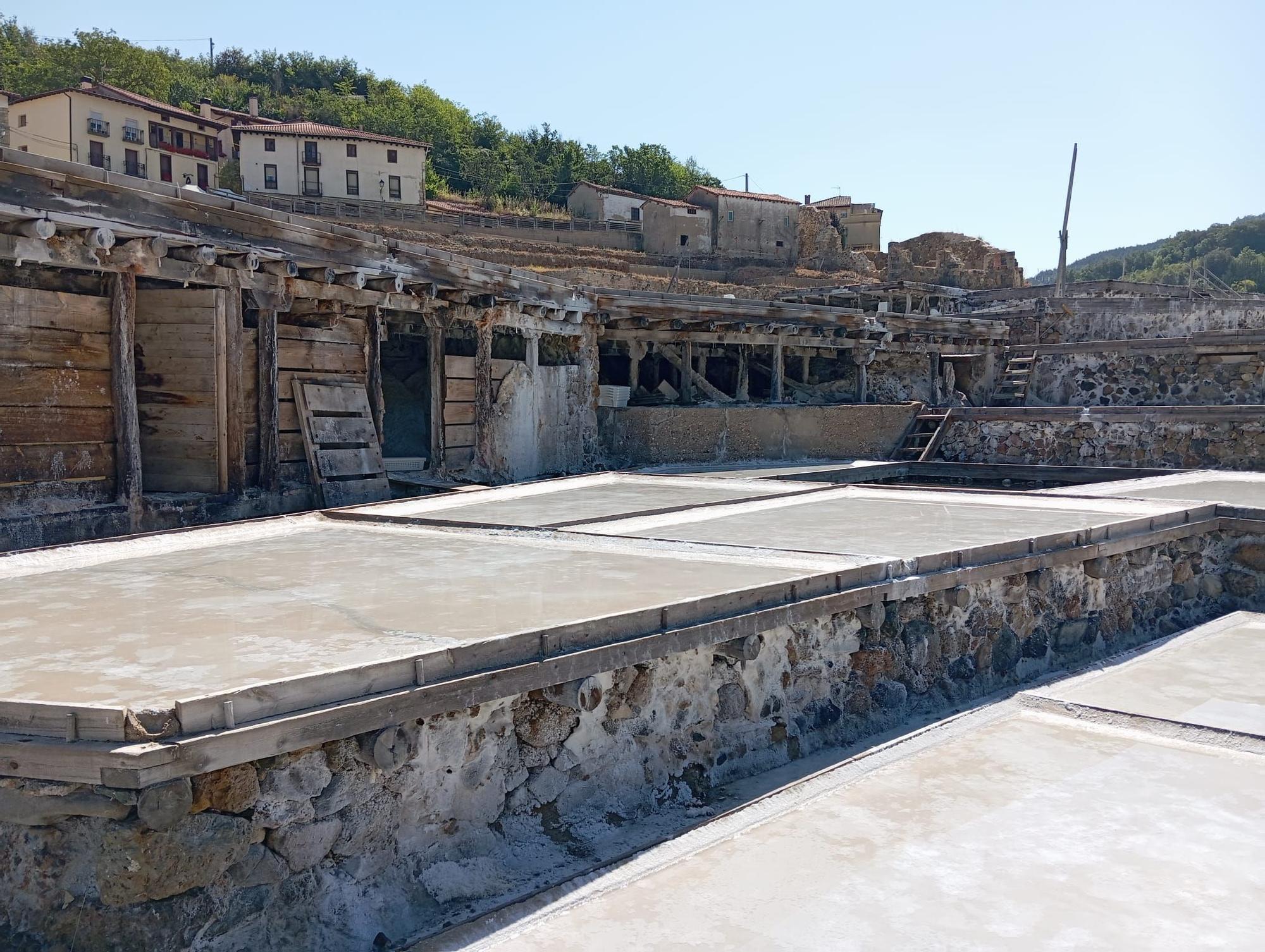 Detalle de las plataformas salinas.