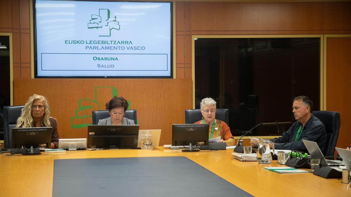 Un instante de la reunión en el Parlamento Vasco