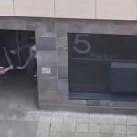 Captura de pantalla del ataque con machete ocurrido en Miribilla. X: @DEIA_EUS