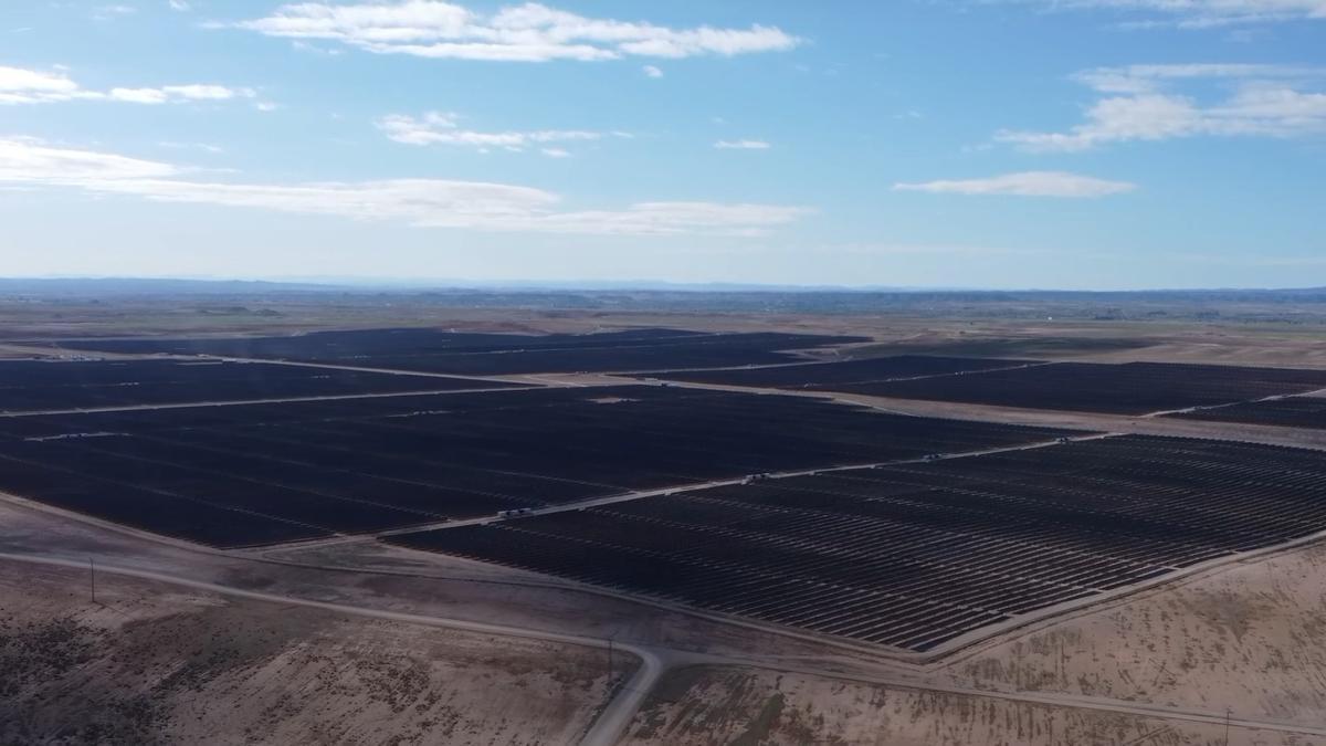 Plaga de placas solares en mitad del campo.