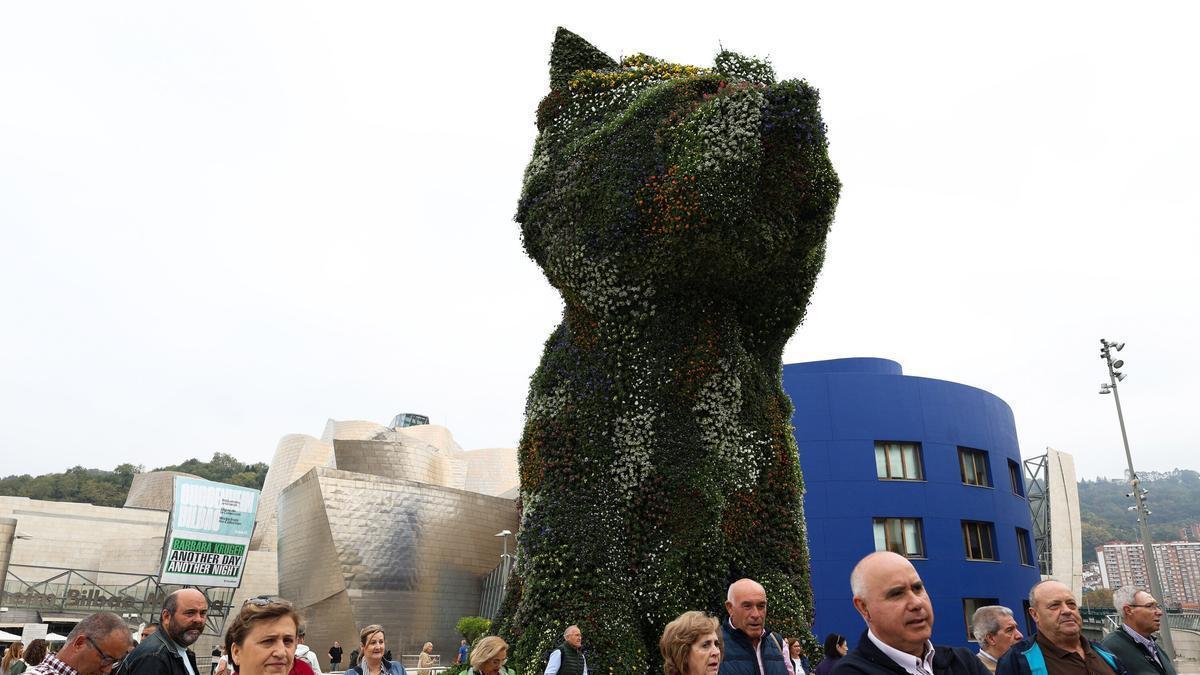 Puppy luce nueva piel