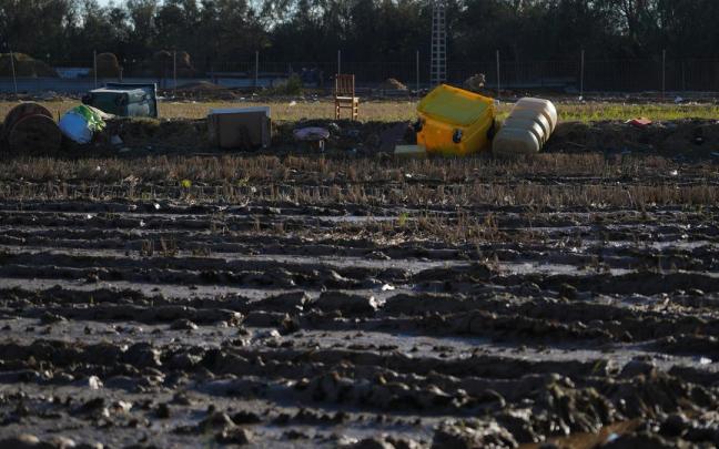 Arrozales en el día 13 tras el paso de la dana por Valencia