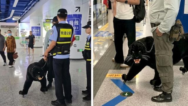 La escena viral de un usuario de metro en China que porta una maleta con forma de pantera