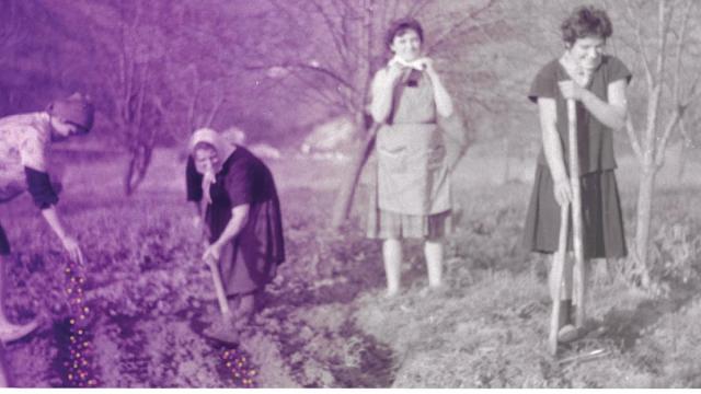 El coloquio analizará el papel que históricamente ha desempeñado la mujer en el cuidado del medio ambiente. / Mahai ingurua Kukubaso El coloquio analizará el papel que históricamente ha desempeñado la mujer en el cuidado del medio ambiente.