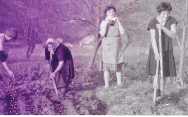 El coloquio analizará el papel que históricamente ha desempeñado la mujer en el cuidado del medio ambiente. / Mahai ingurua Kukubaso El coloquio analizará el papel que históricamente ha desempeñado la mujer en el cuidado del medio ambiente.