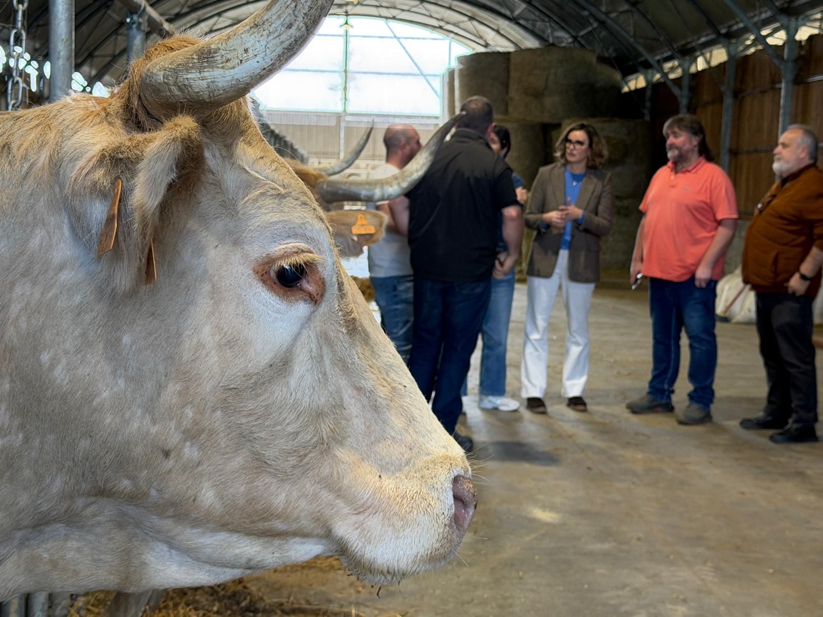 El primer sector, protagonista del balance presentado en Abadiño.