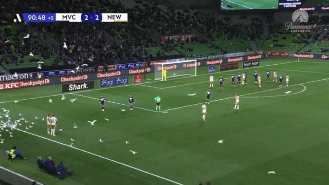 Las gaviotas, tomando una parte del campo.