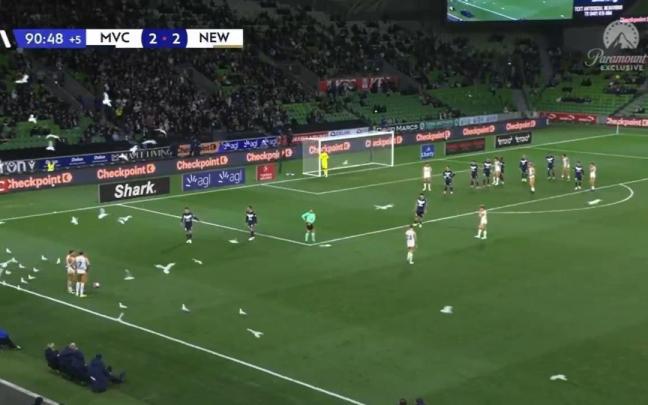 Las gaviotas, tomando una parte del campo.