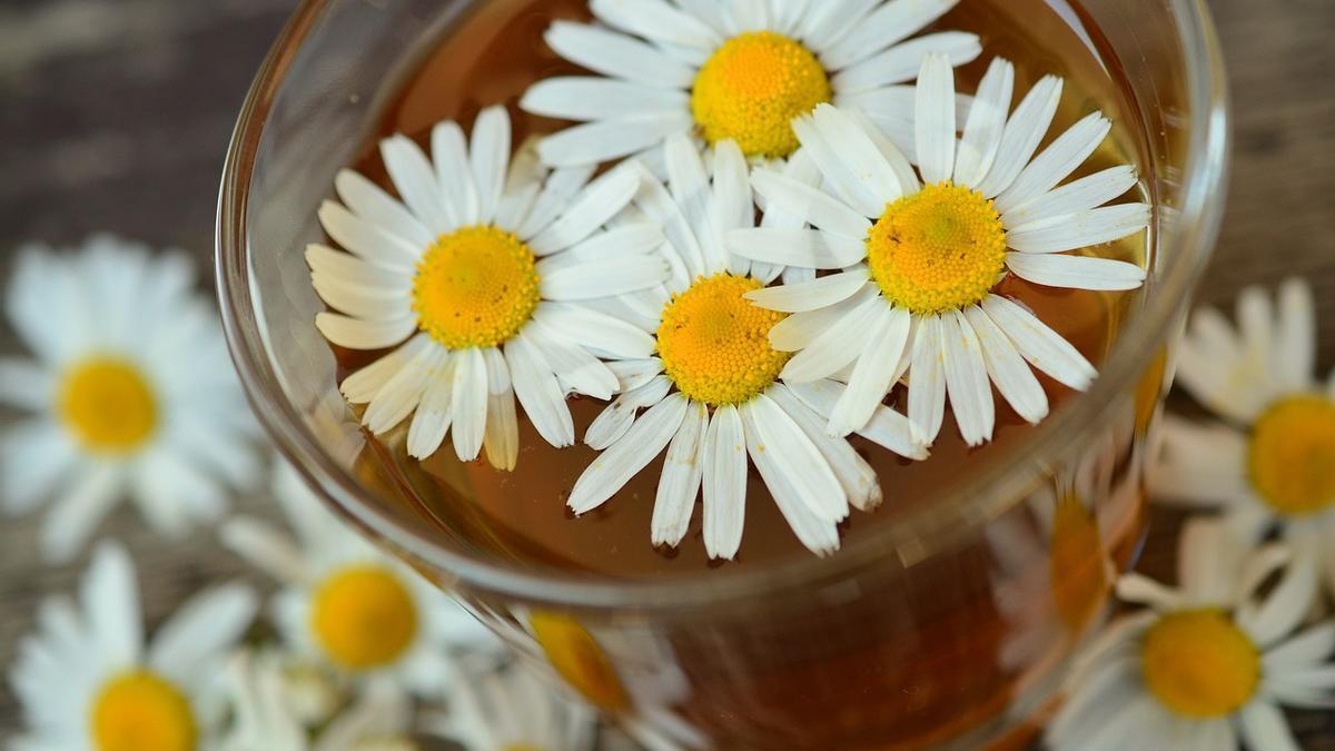 La manzanilla, un relajante natural.