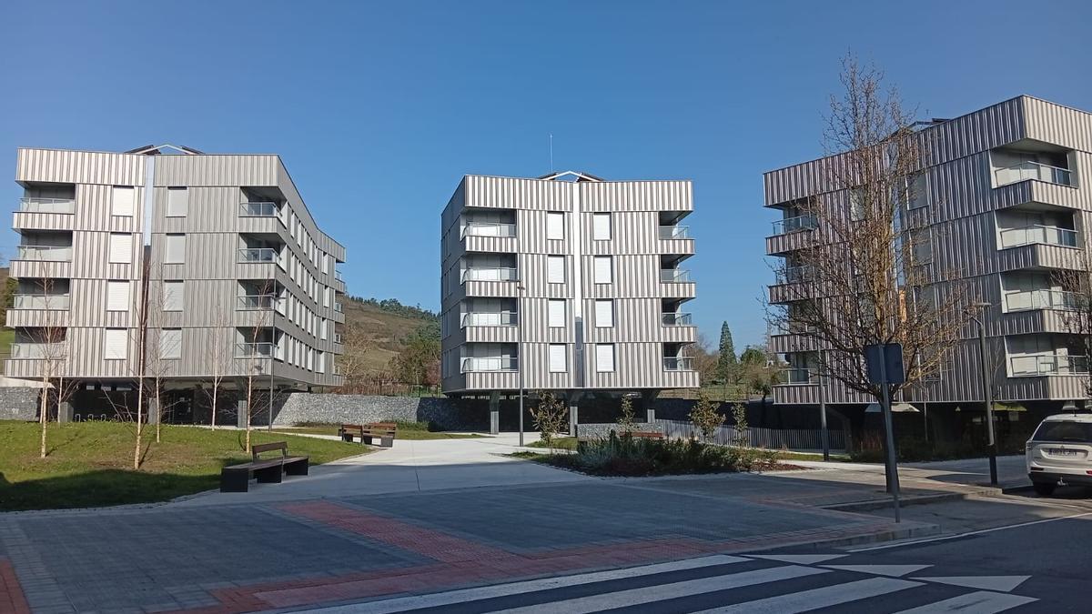 La promoción de vivienda social en alquiler de la calle Federico Barrenengoa en Amurrio