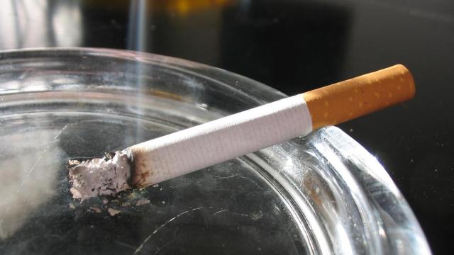 Se ofrecerá información sobre los recursos que Osakidetza pone a disposición de las personas que desean dejar de fumar, así como sobre los daños asociados al vapeo.