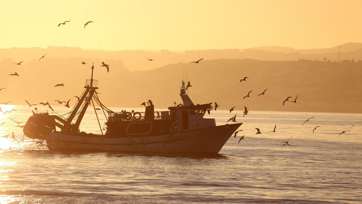 Imagen de un barco pesquero