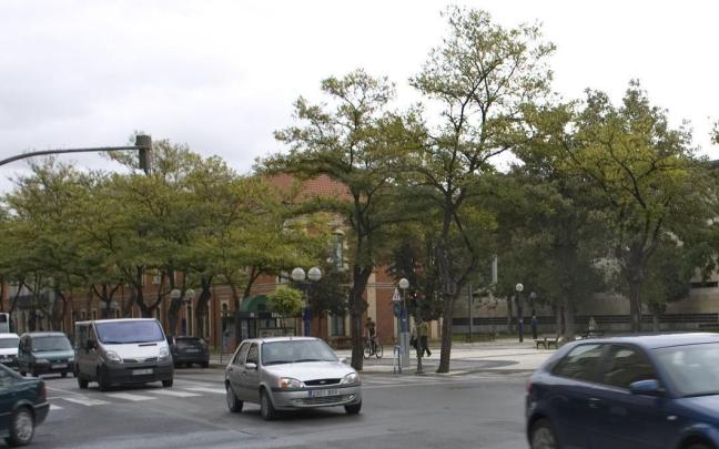 La calle Comandante Izarduy verá sustituidos 17 de sus árboles