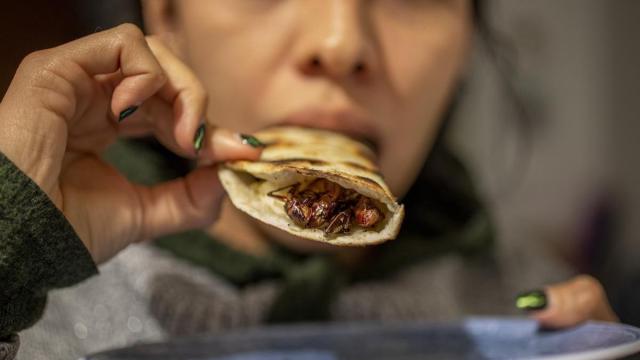 Una mujer come una quesadilla con insectos.
