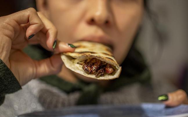 Una mujer come una quesadilla con insectos. Una mujer come una quesadilla con insectos.