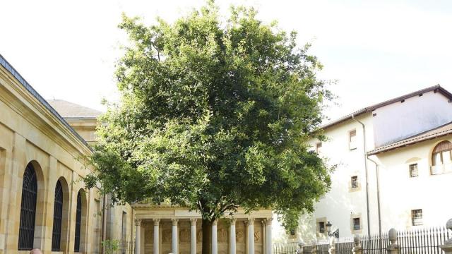 Casa de Juntas de Gernika.