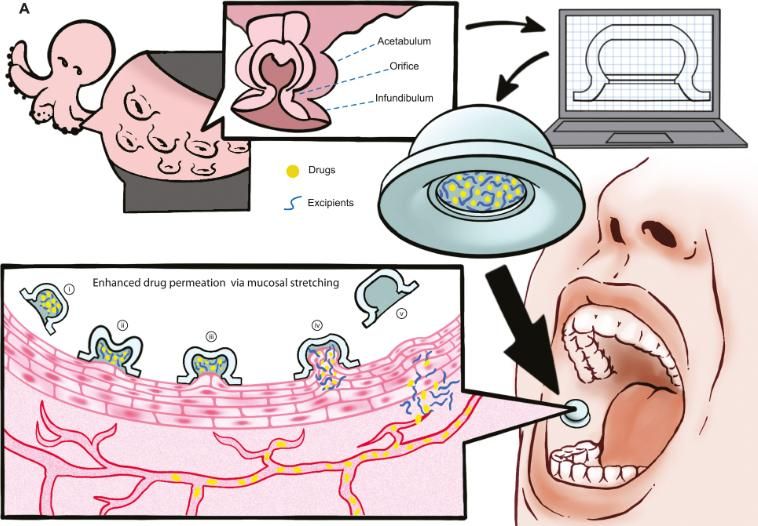 Así se coloca el parche