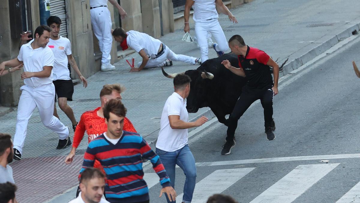 Fotos del quinto encierro de Tafalla