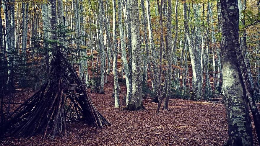 A lo largo del recorrido por el bosque de Betato se puede descubrir curiosas cabañas hechas con ramas.