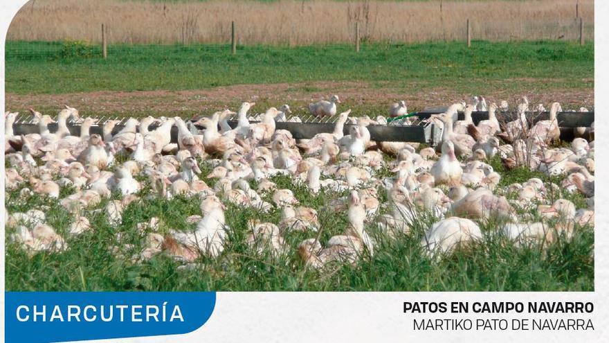 Patos de Martiko en el campo