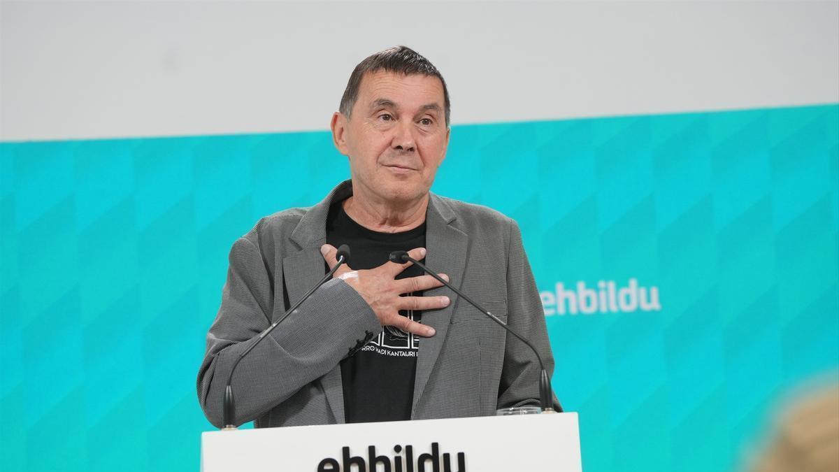 El secretario general de EH Bildu, Arnaldo Otegi, en una foto de archivo.
