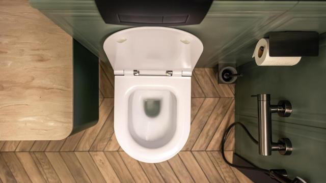 Un retrete con la tapa levantada en un baño moderno.