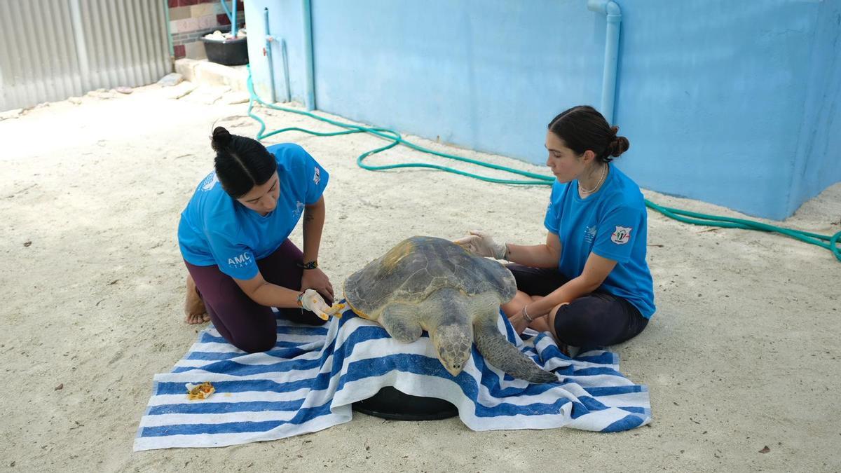 Labores de la Autoridad Reguladora del Mediambiente de Maldivas