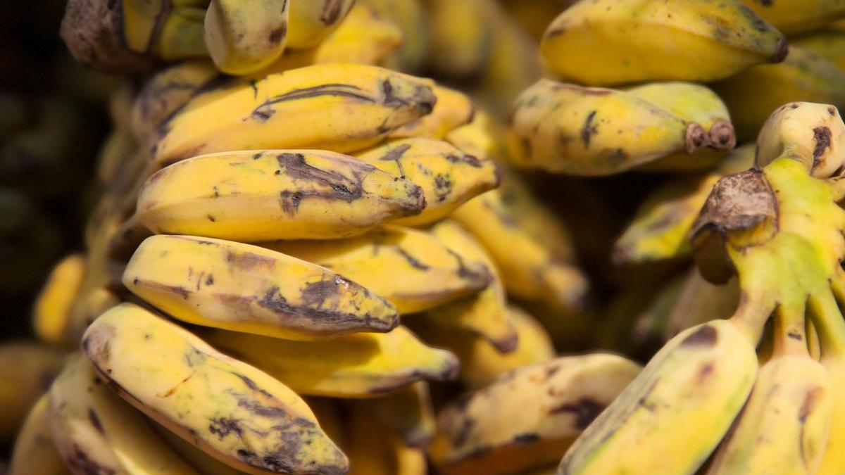 Plátanos maduros