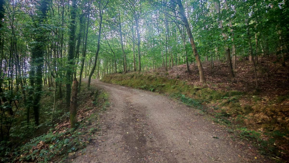 En imágenes: Ruta al Ganguren con Haizea Lopez