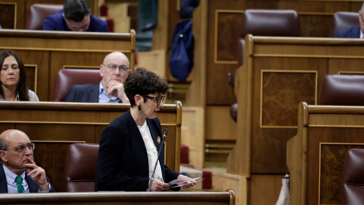 La nueva portavoz del PNV en el Congreso, Maribel Vaquero
