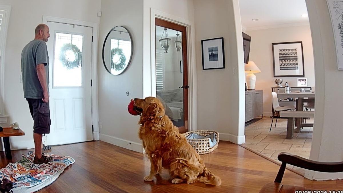 El momento en el que un ladrón accede a la casa de Nash