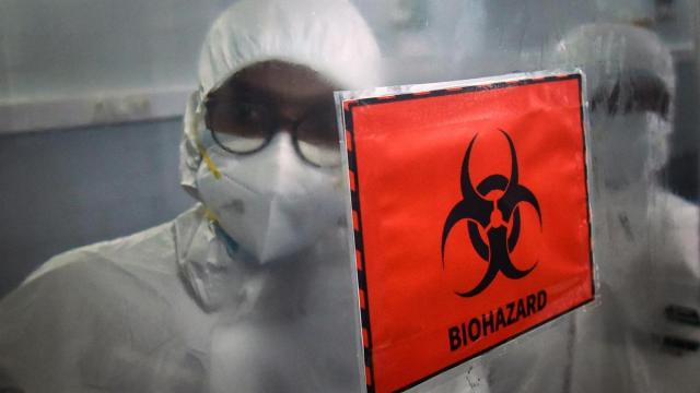 La OMS resalta que la transmisión del virus del mpox sigue siendo "baja" en la mayoría de los países que notifican casos.